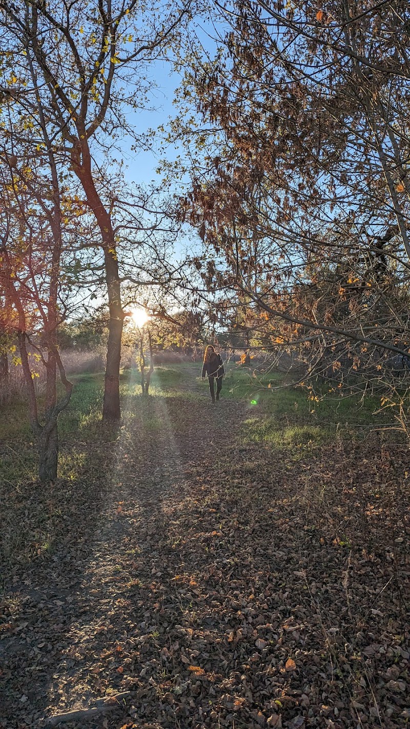 Photo of Laguna Uplands Preserve