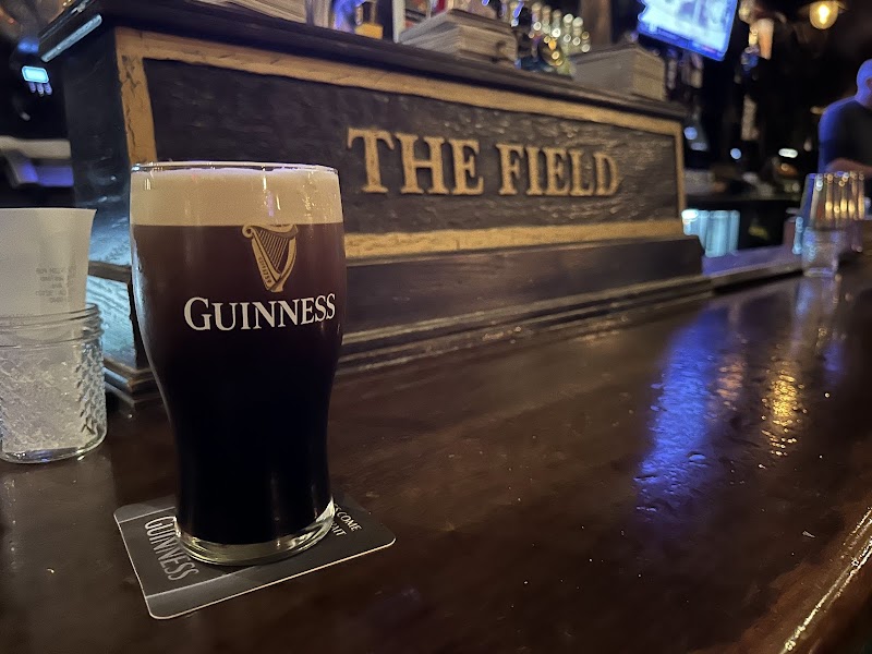 The Field Irish Pub photo 3