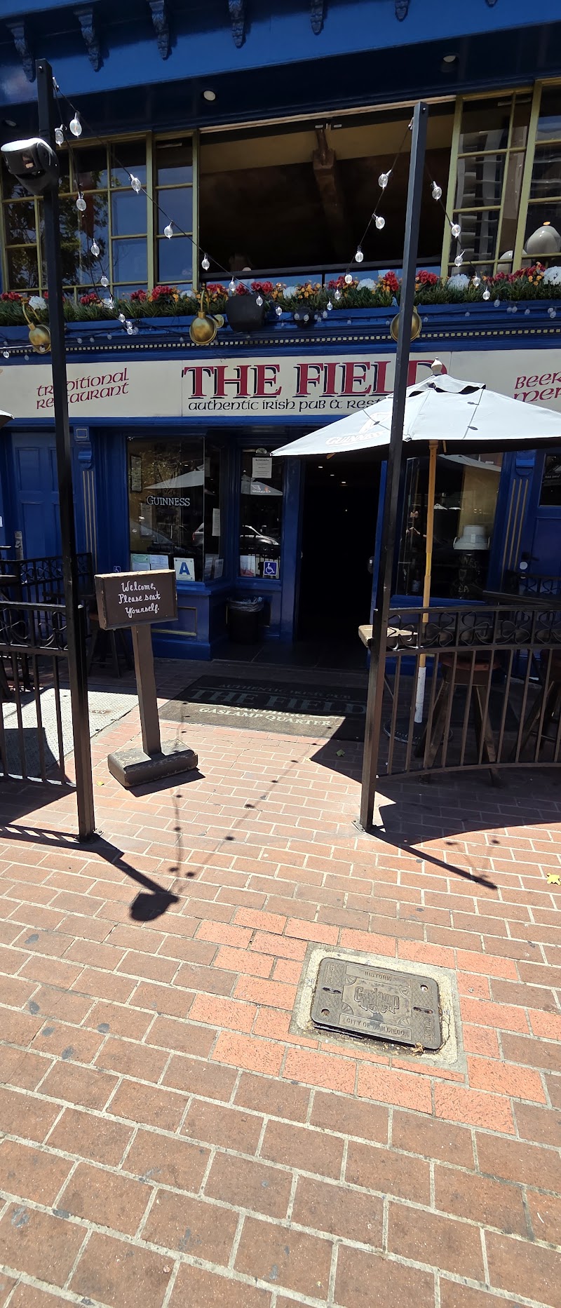 The Field Irish Pub photo 5
