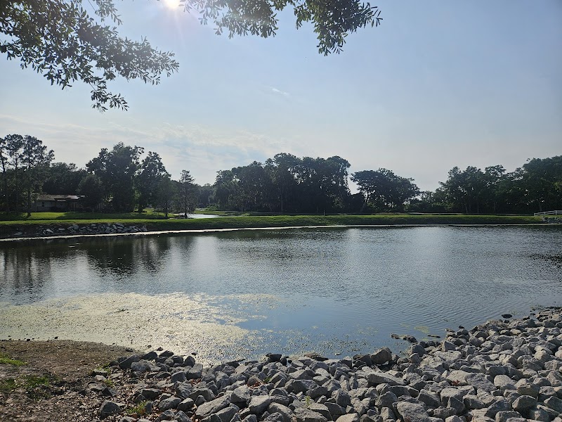 Photo of Gator Bridge