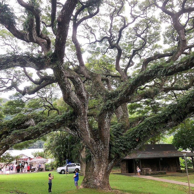 Daijingu Temple of Hawaii photo 4