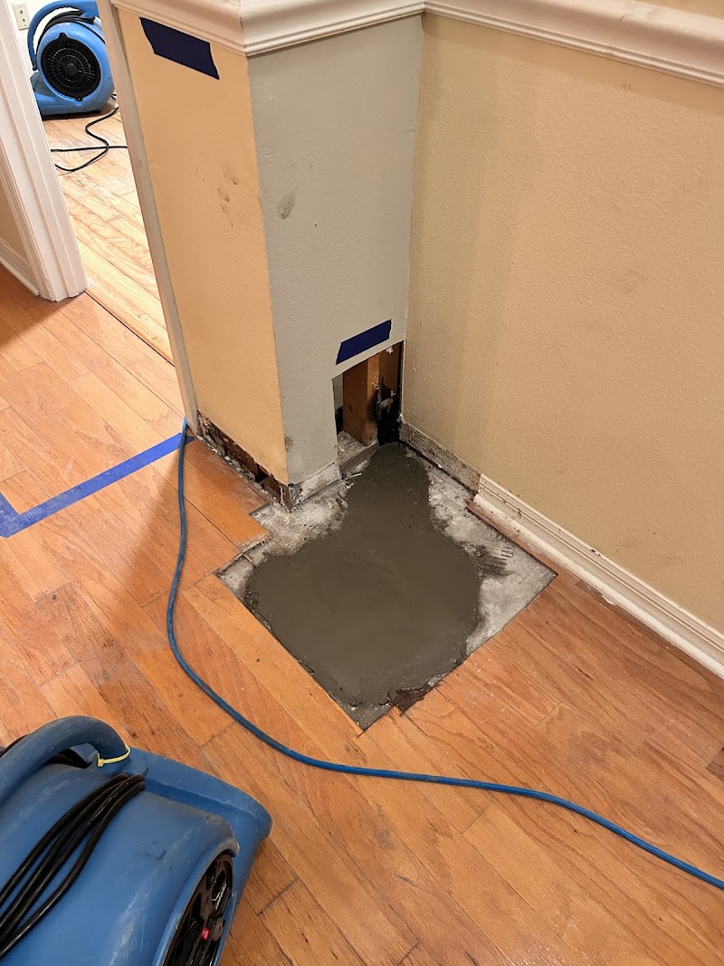 Premier Rooter Plumbing and Drain Services photo 3