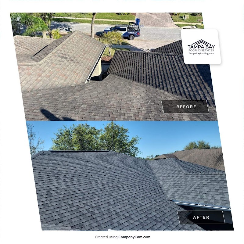 Tampa Bay Roofing Services photo 4