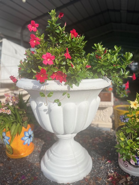 Maricelas Garden Center photo 3