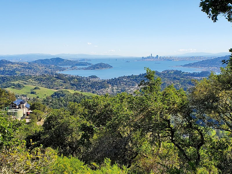 Chabad Jewish Center of Central Marin photo 3