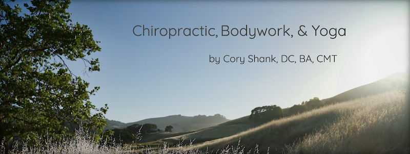 Shank Chiropractic photo 5