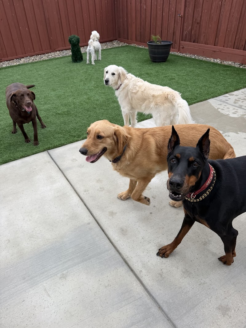 Furfield Pet Place photo 2