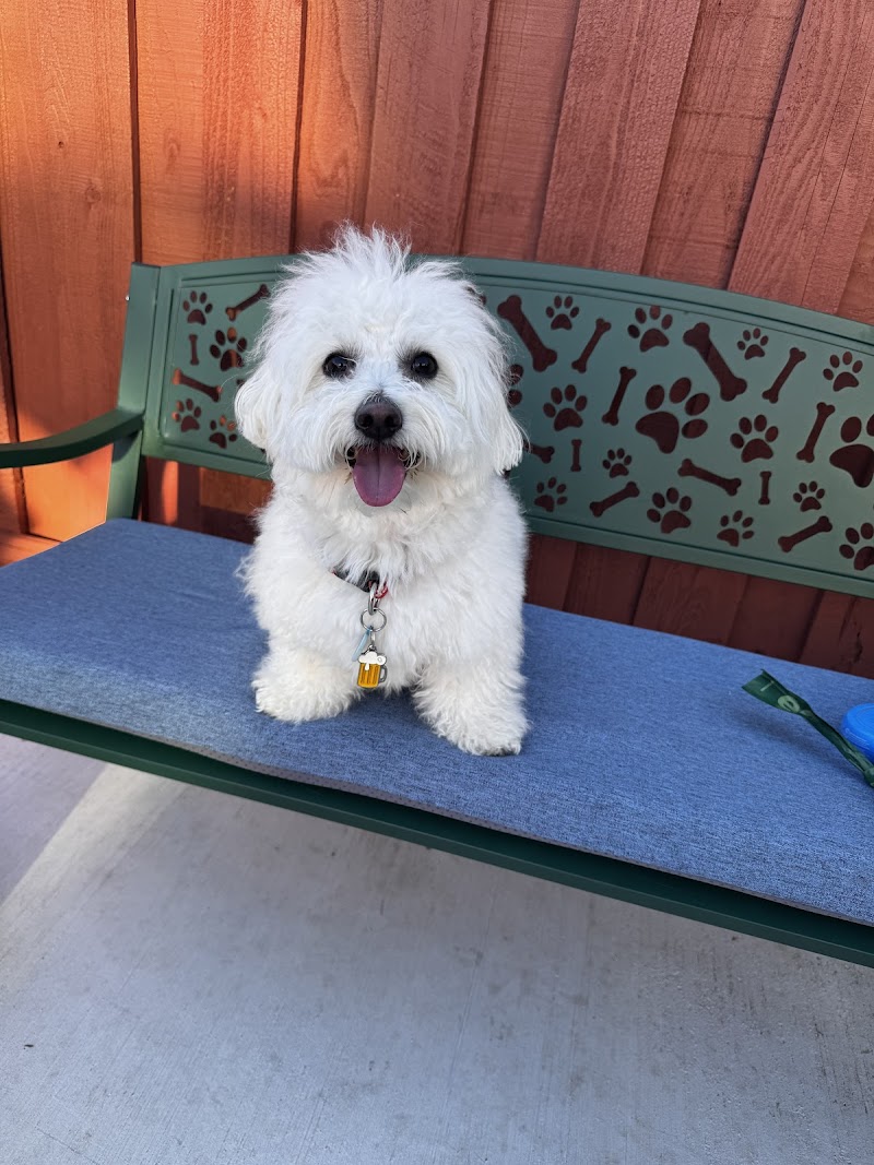 Photo of Furfield Pet Place
