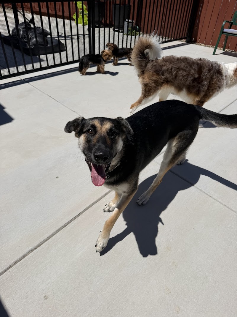 Furfield Pet Place photo 5