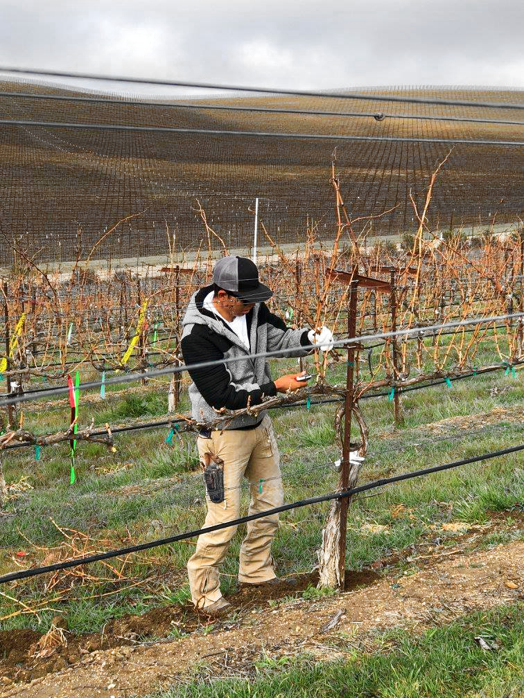 Photo of Vineyard Industry Products Co