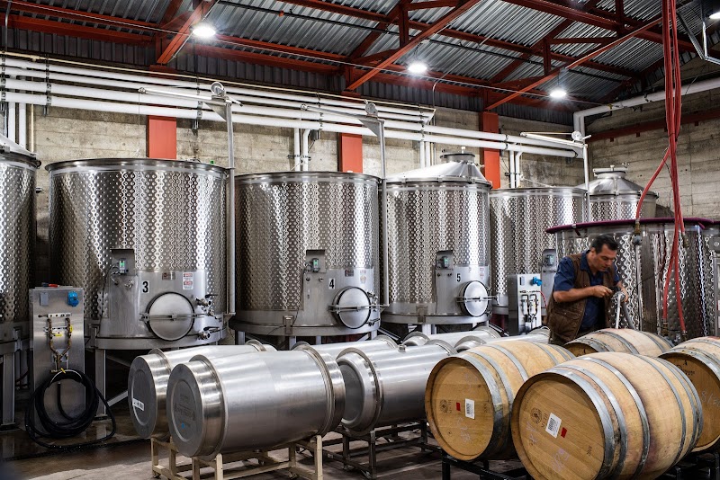 Small Vines Wines photo 4