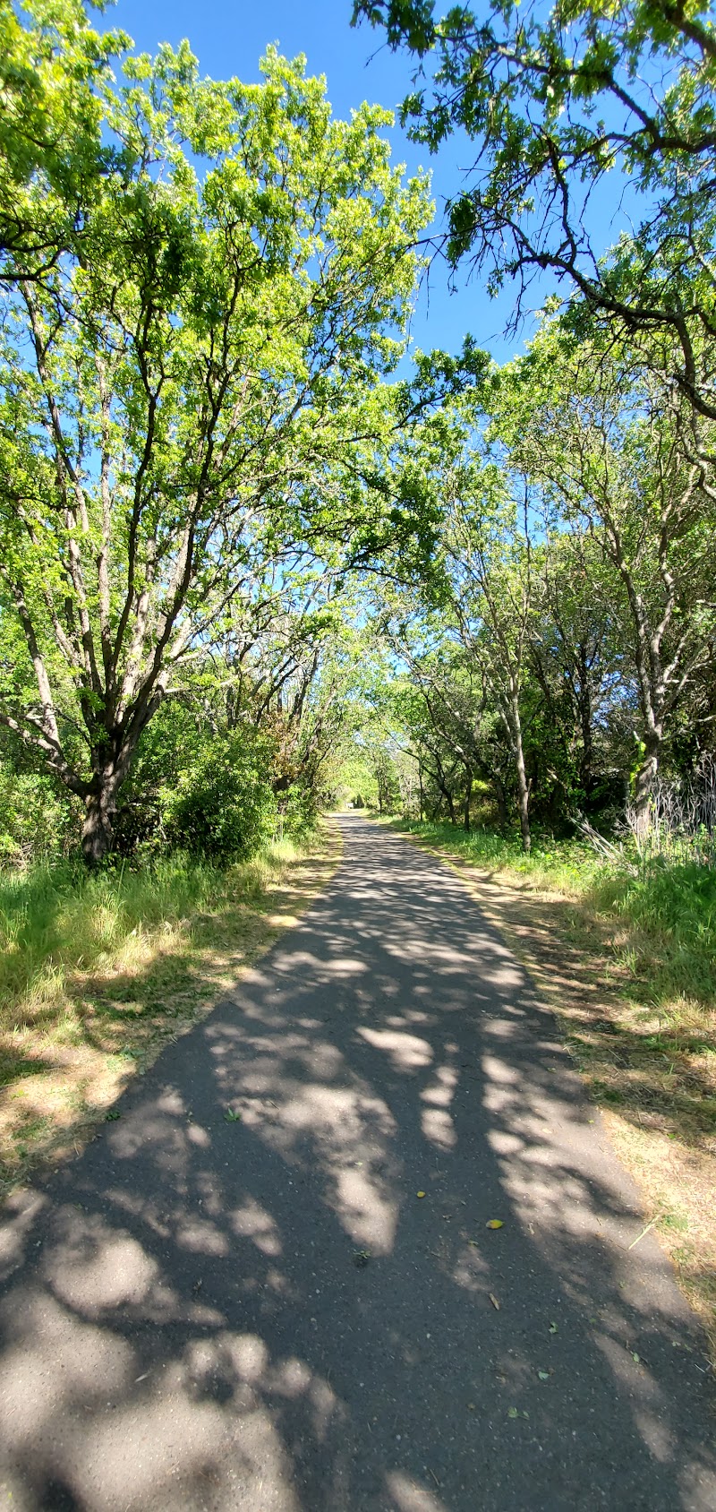 Start of Joe Rodota Trail photo 2