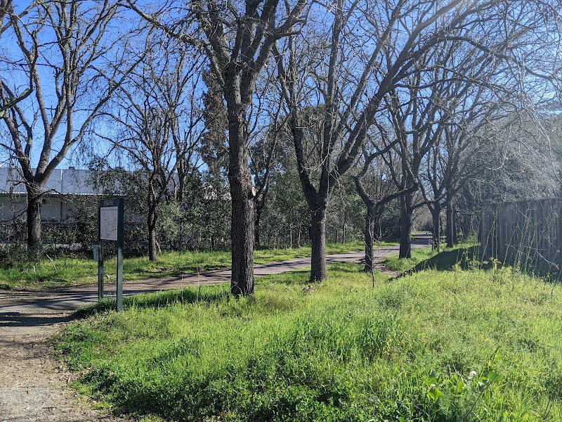 Start of Joe Rodota Trail photo 5
