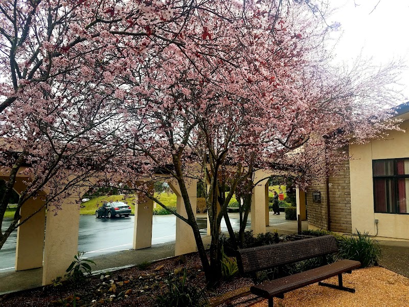 Sebastopol Seventh-day Adventist Church photo 3