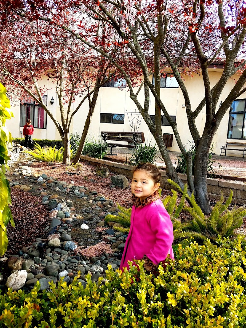 Sebastopol Seventh-day Adventist Church photo 5