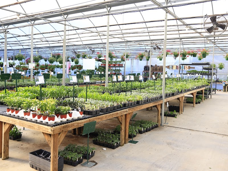 Rivers Greenhouse & Garden Inc photo 2