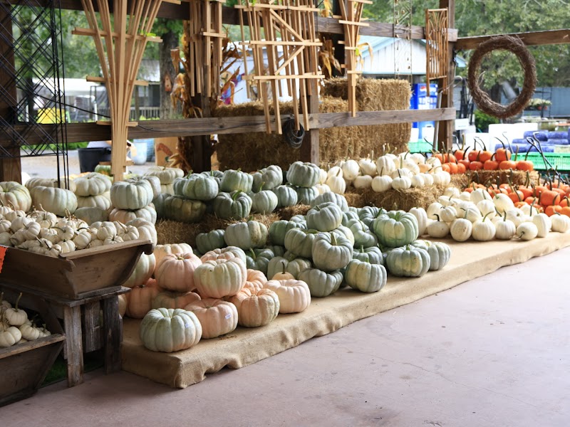 Rivers Greenhouse & Garden Inc photo 4