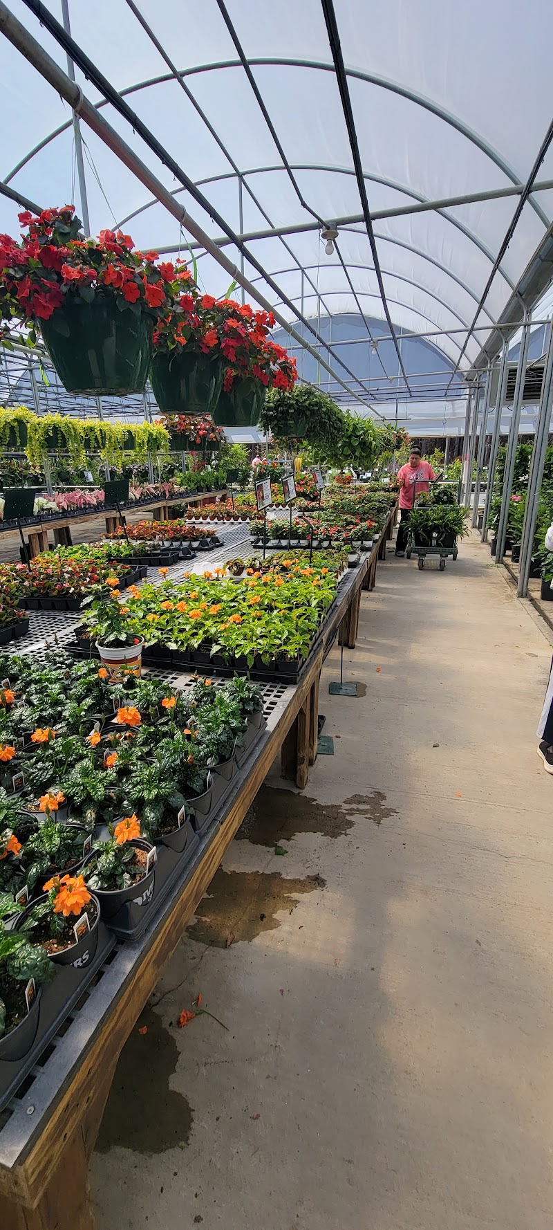 Rivers Greenhouse & Garden Inc photo 5