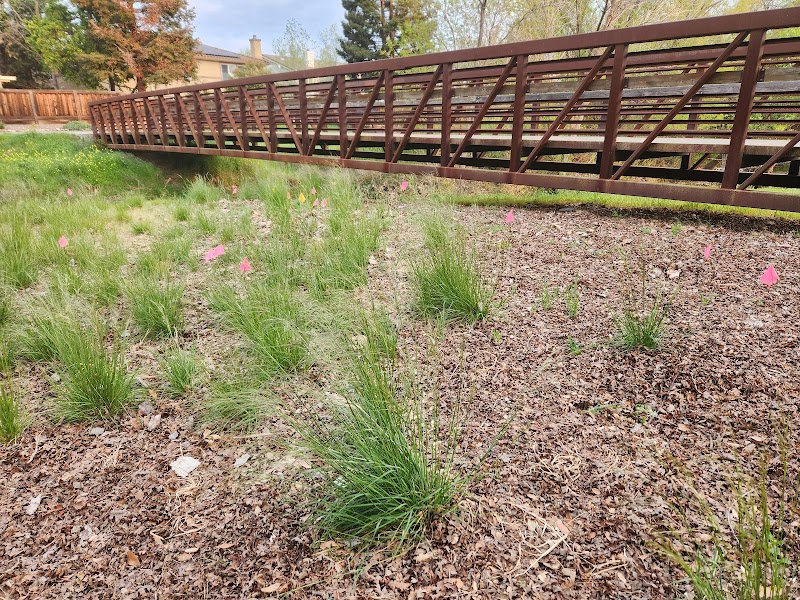 Brentwood Demonstration Garden photo 2