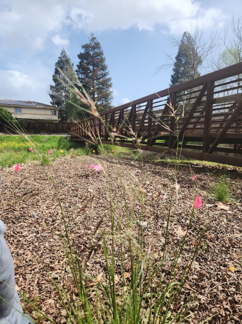 Photo of Brentwood Demonstration Garden