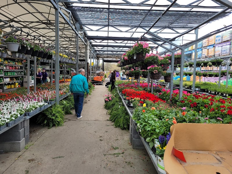 The Home Depot photo 4
