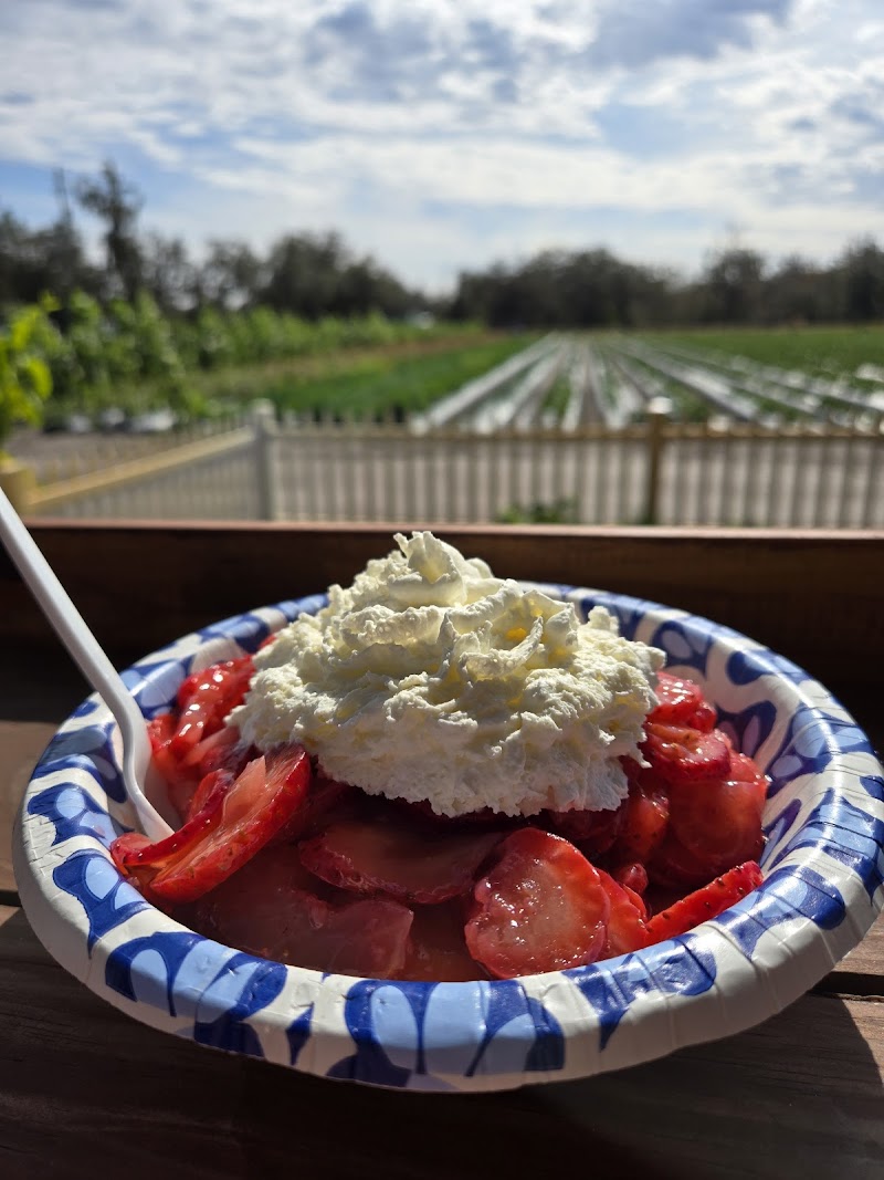 Three Sons Farm & Produce Pick your own F, S,S photo 2