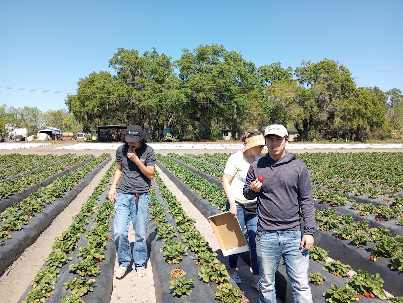 Photo of Three Sons Farm & Produce Pick your own F, S,S