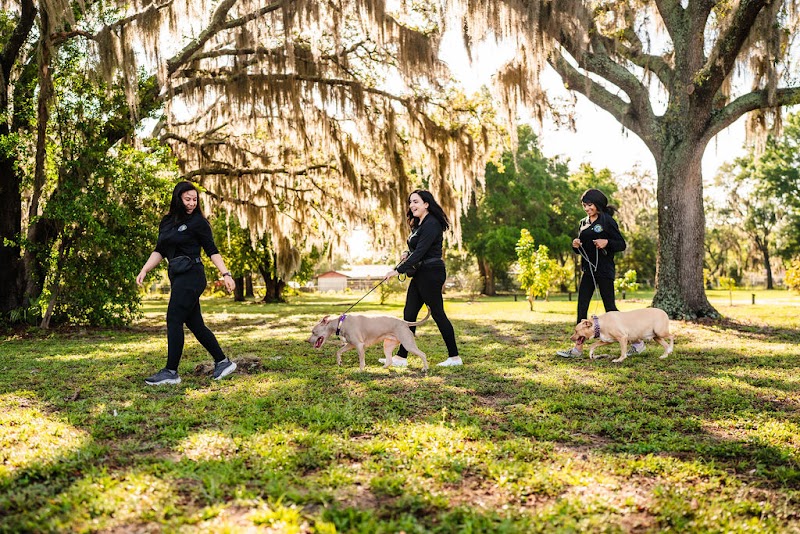 Photo of Professional Pets Florida LLC