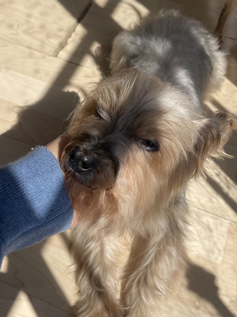 Professional Pets Florida LLC photo 5