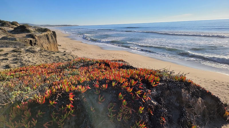 Half Moon Bay Beach photo 5
