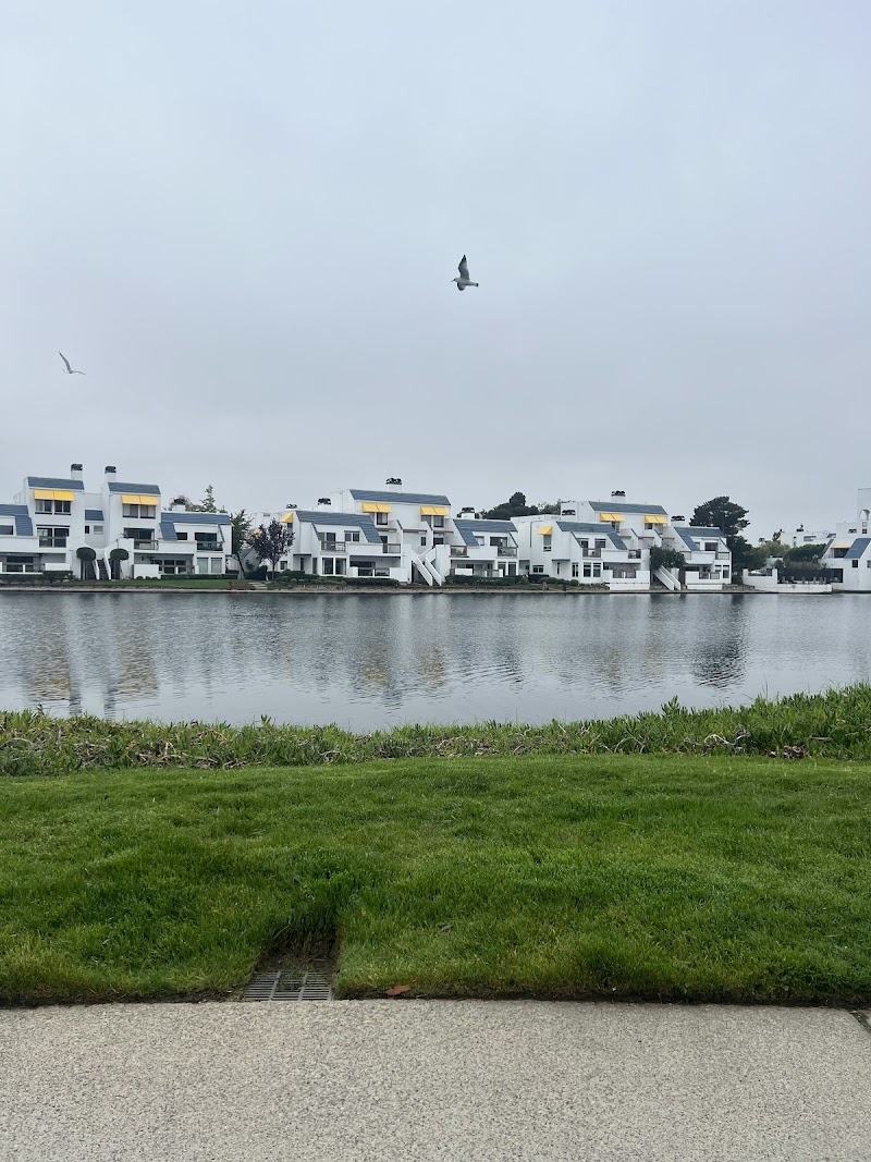 Sand Cove photo 3