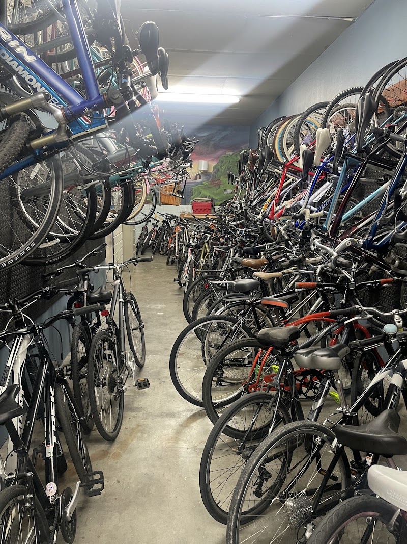 Alan Gorman Bicycle Specialist photo 2