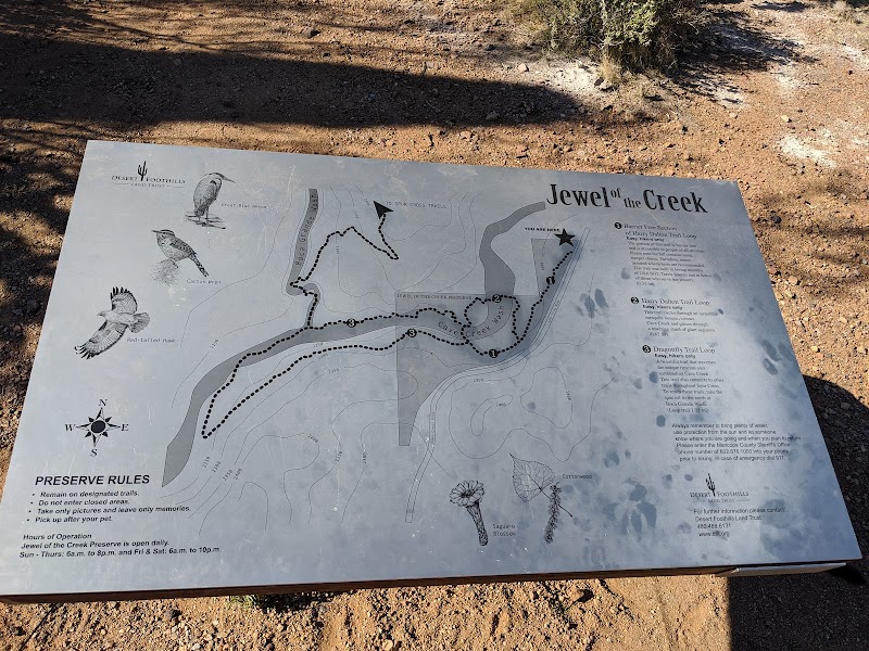 Jewel of the Creek Preserve photo 5
