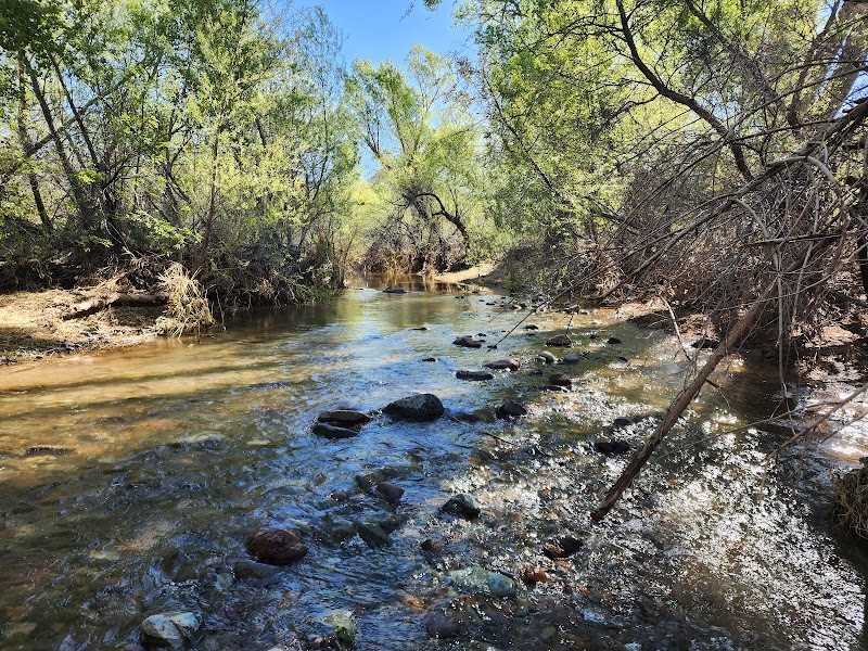 Jewel of the Creek Preserve photo 4