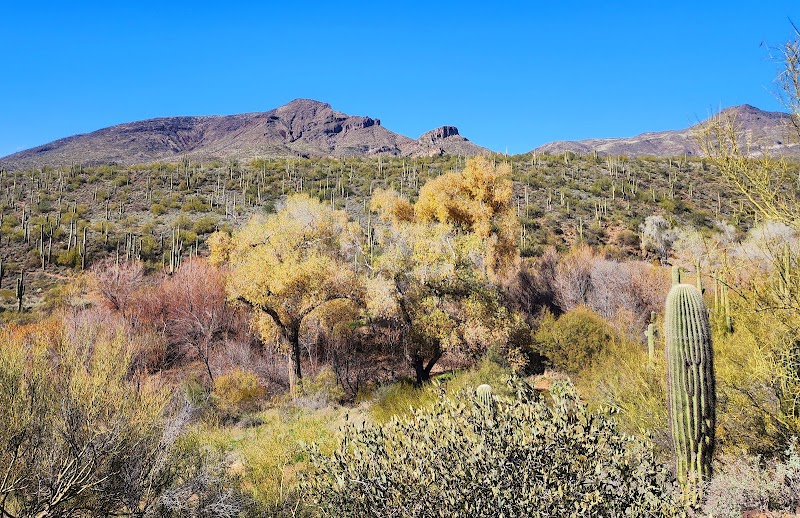 Jewel of the Creek Preserve photo 2