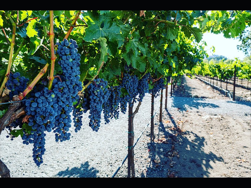 Photo of Ross Ranch & Vineyards