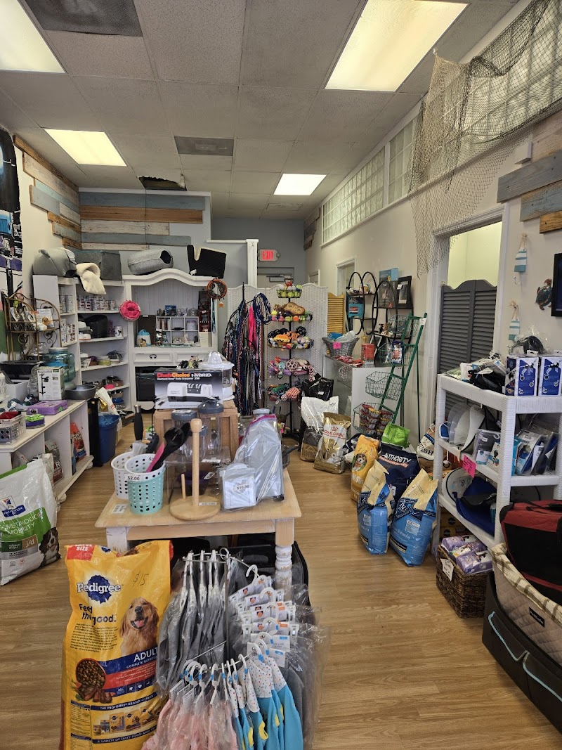 Suncoast Animal League Thrift Shop photo 4