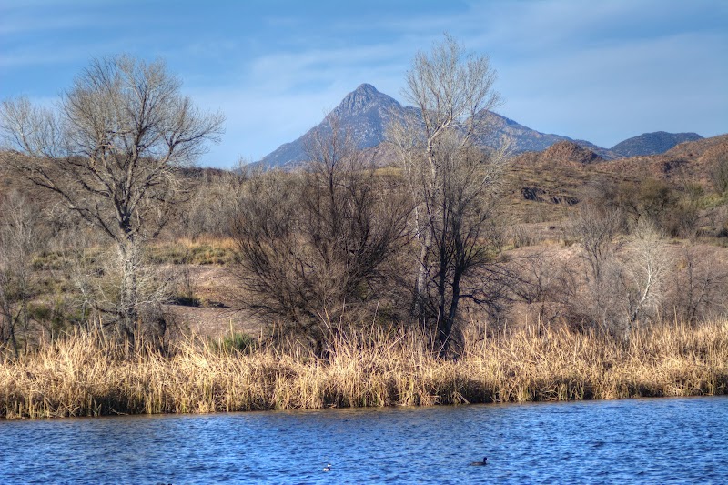 Patagonia Lake State Park photo 4
