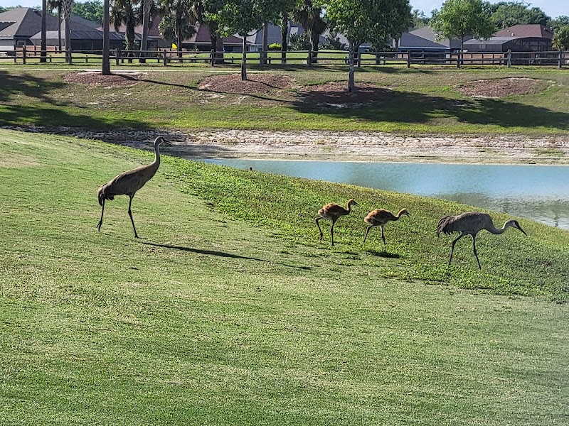 Longleaf Executive Golf Course photo 2