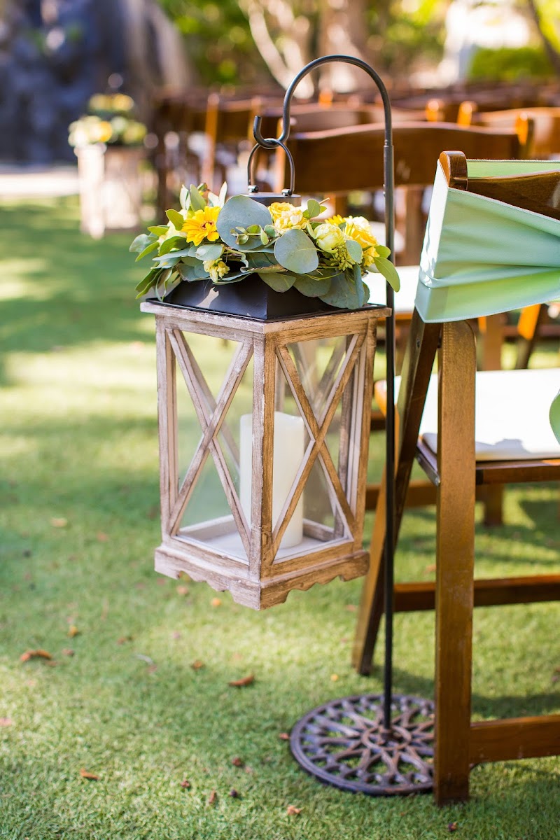 Four Seasons Flowers photo 5