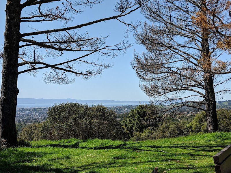 Greenridge Park photo 4