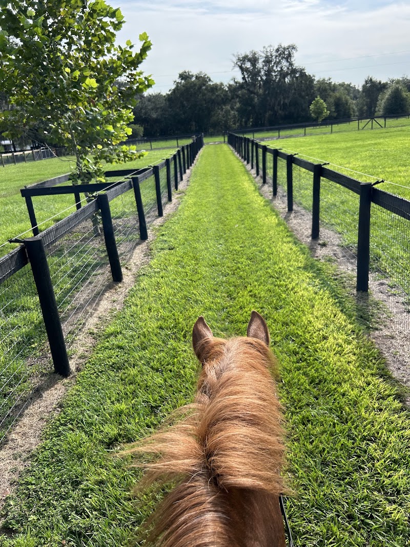 Photo of Black Dog Farm