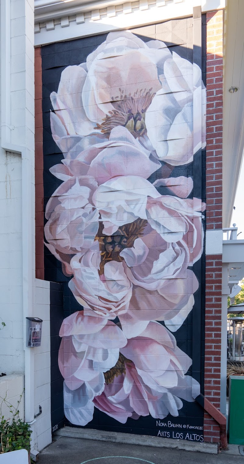 Photo of Mural: Floral Therapy