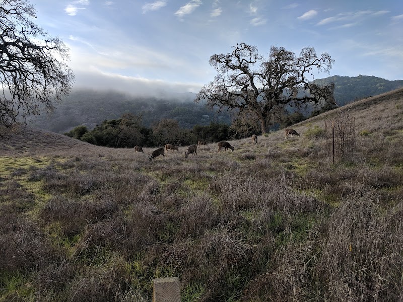 High Meadow Vista Point photo 2