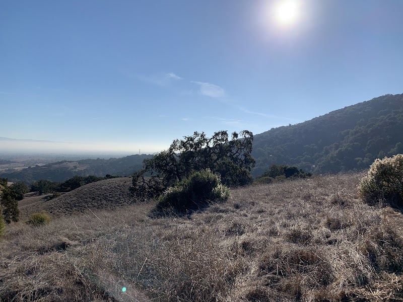 High Meadow Vista Point photo 4