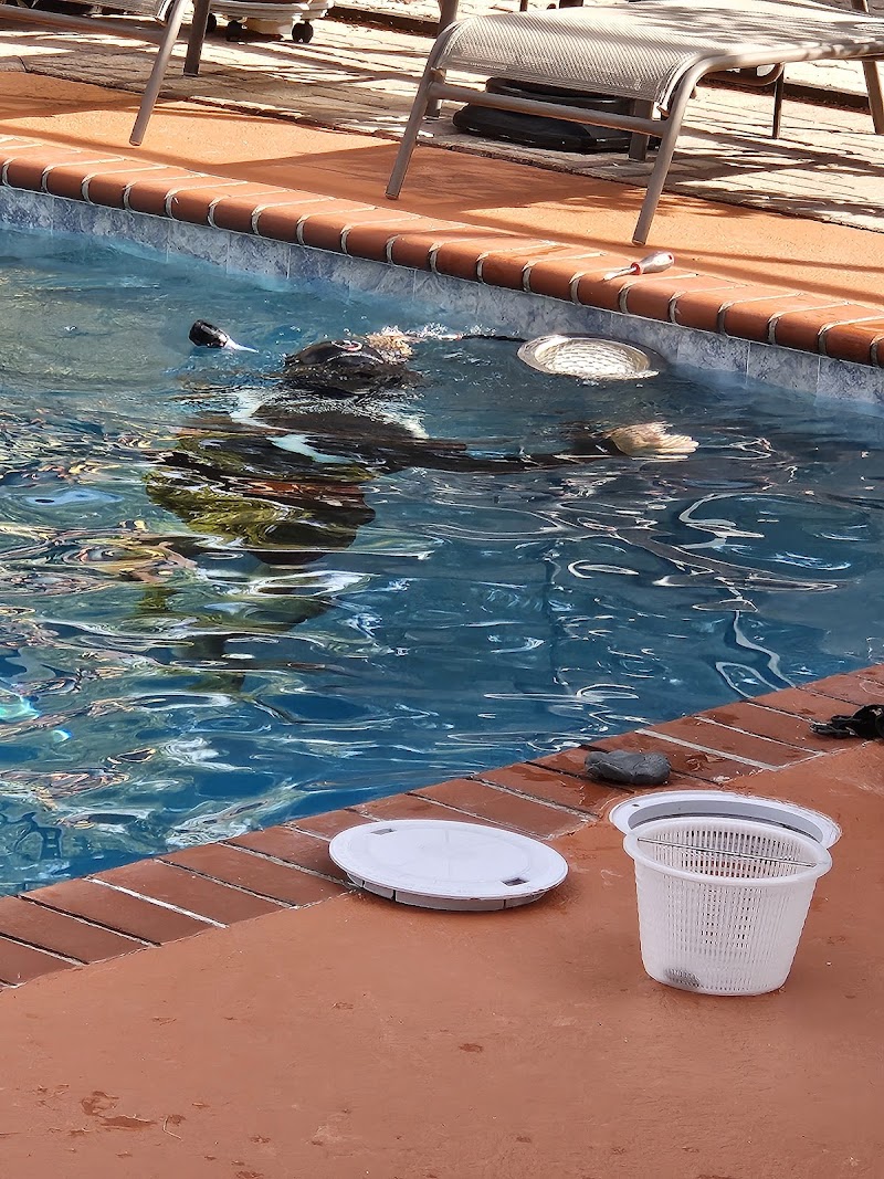 American Leak Detection of Spring Hill photo 2