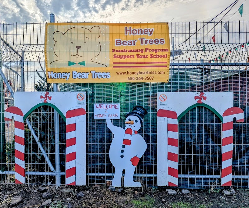 Honey Bear Trees photo 2