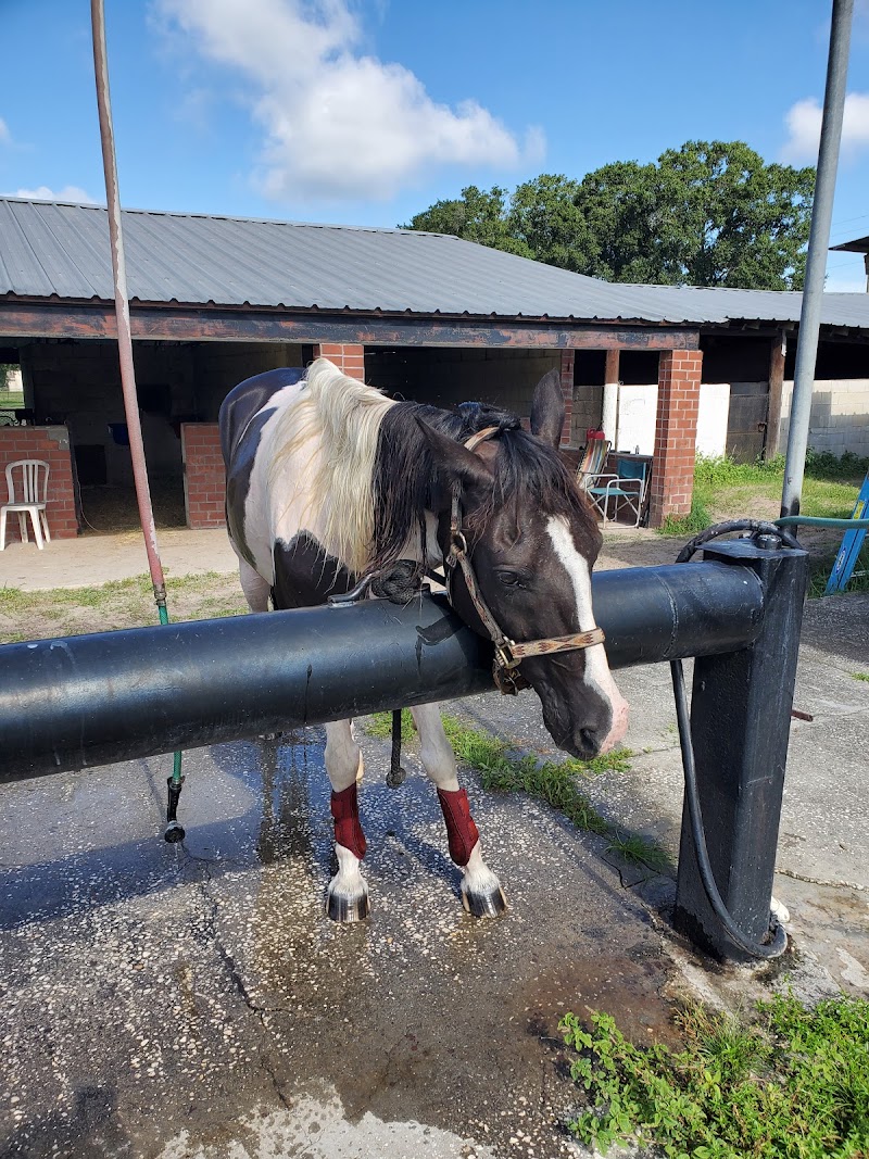 Bay Lakes Stable photo 5