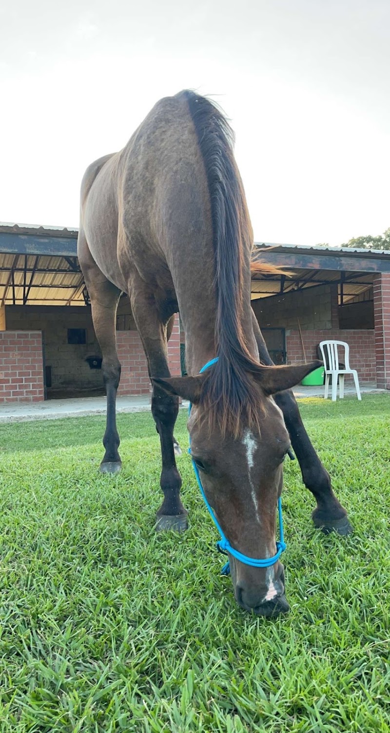 Bay Lakes Stable photo 2