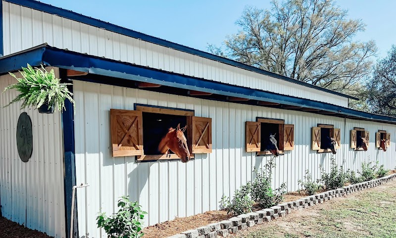 Photo of Southern Dream Farm